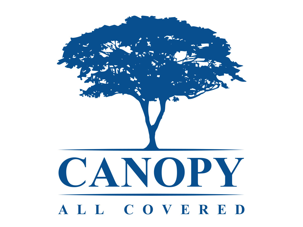 Logo Design by JMATTH for Mesitis Capital Pte Ltd | Design #5595150