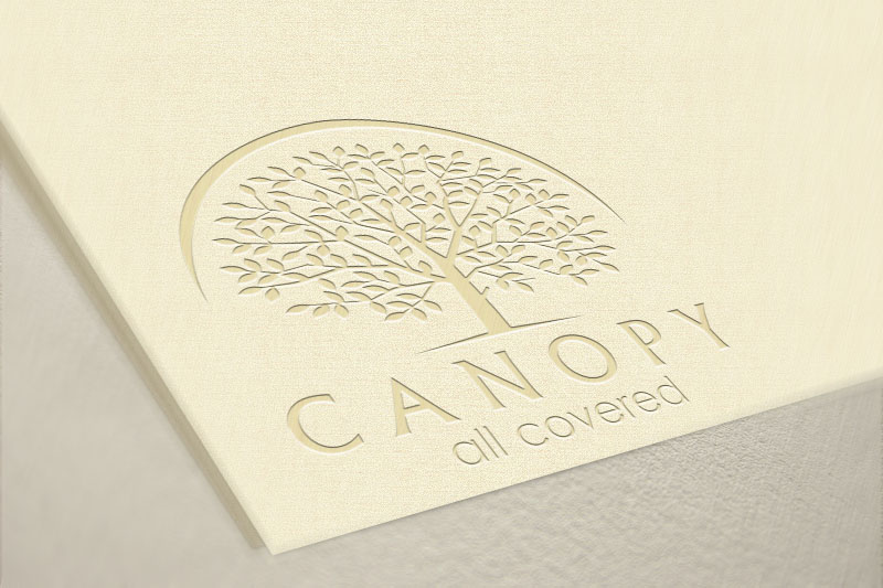 Logo Design by DadaVFC CreativeDesign for Mesitis Capital Pte Ltd | Design #5595988