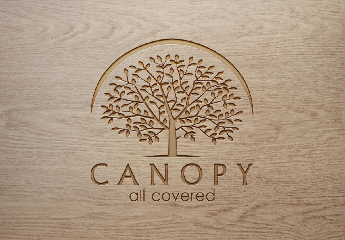 Logo Design by DadaVFC CreativeDesign for Mesitis Capital Pte Ltd | Design #5596012