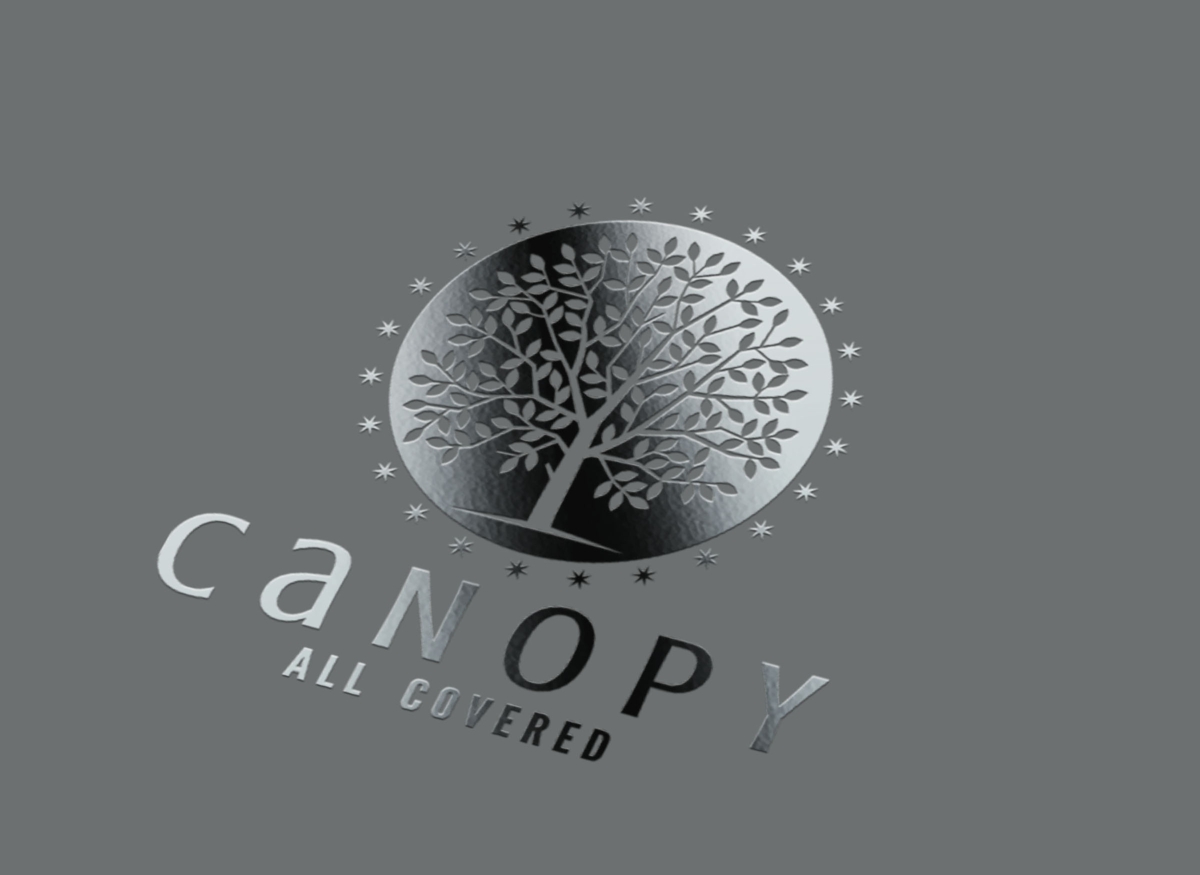 Diseño de Logo por DadaVFC CreativeDesign para Mesitis Capital Pte Ltd | Diseño #5596672