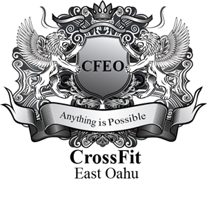 Logo Design by Faizan Khan