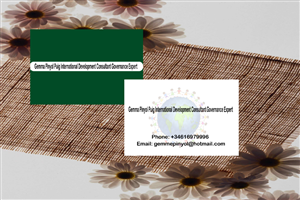 Business Card Design by MSJS