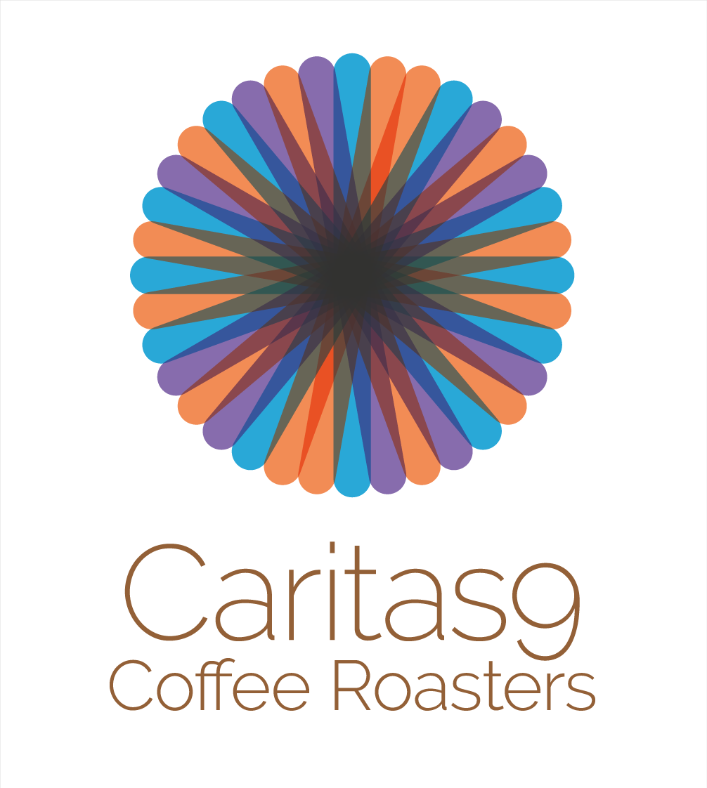 Logo Design by I make logos. for this project | Design #5565668