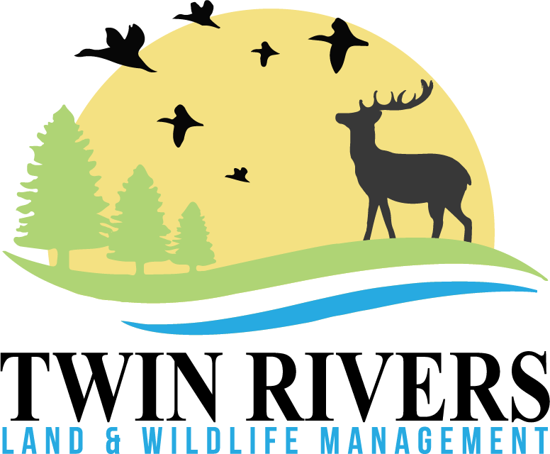 Logo-Design von theK für dieses Projekt | Design #5557611