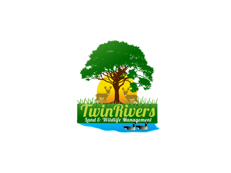 Logo Design by anushka_snigdha for this project | Design #5563678