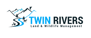 Logo Design by usamaatiq7865