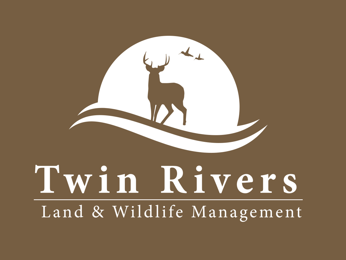 Logo-Design von millionpixelmediaUK für dieses Projekt | Design #5557856