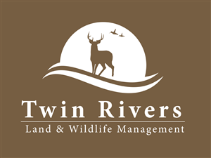 Logo Design by millionpixelmediaUK
