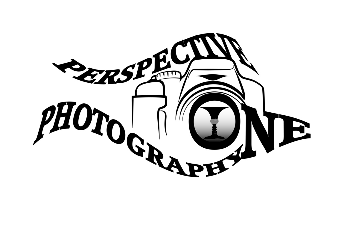 Logo Design by nsa51southwest for Perspective One Photography | Design #5655819