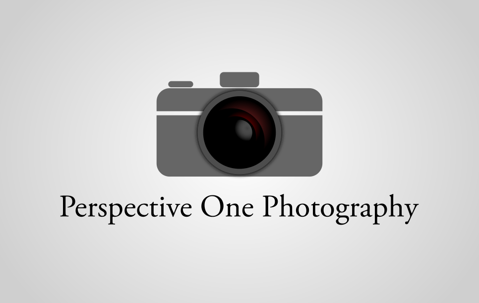 Logo Design by Immitya for Perspective One Photography | Design #5568933