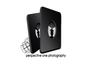Logo Design by dann for Perspective One Photography | Design: #5676122