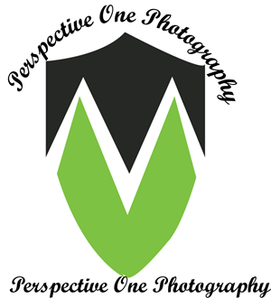 Diseño de Logo por A110 para Perspective One Photography | Diseño #5587039