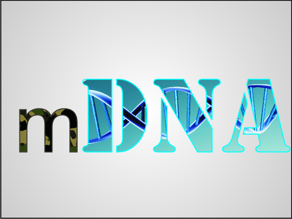 Logo Design by skidezign for this project | Design #289542