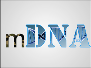 Logo Design by skidezign for this project | Design: #289542
