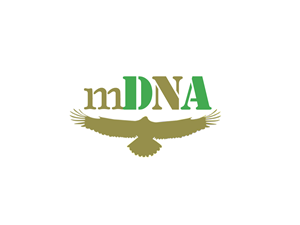 Logo Design by Robert