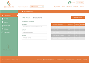 Web Design by Behriatech for Coinapult | Design: #5569943