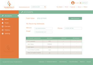 Web Design by Behriatech for Coinapult | Design: #5569980