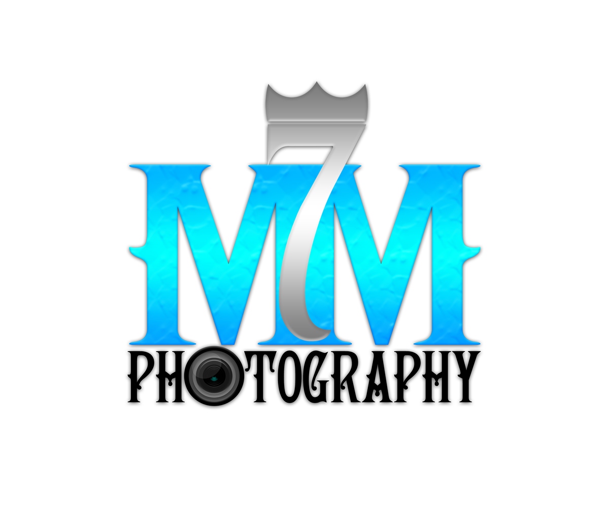 Diseño de Logo por Nirwan Caesar para este proyecto | Diseño #1538694