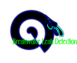 Logo Design by Jennifer Bowman