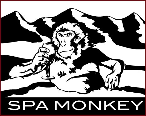 Logo Design by Angler Designs for Alpine Spas | Design #5572418