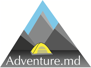 Logo Design by AdamMarco