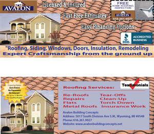 Flyer Design by Nishu Raina for this project | Design: #298751