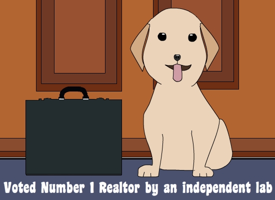 Diseño Gráfico por eichwulf para este proyecto | Diseño #5653108