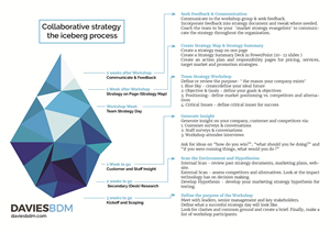 Diseño Infográfico por Iwana Ioana para Davies BDM | Diseño: #5595817