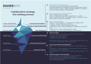 Infographic - Iceberg Strategy Process | Design Infographie par Iwana Ioana