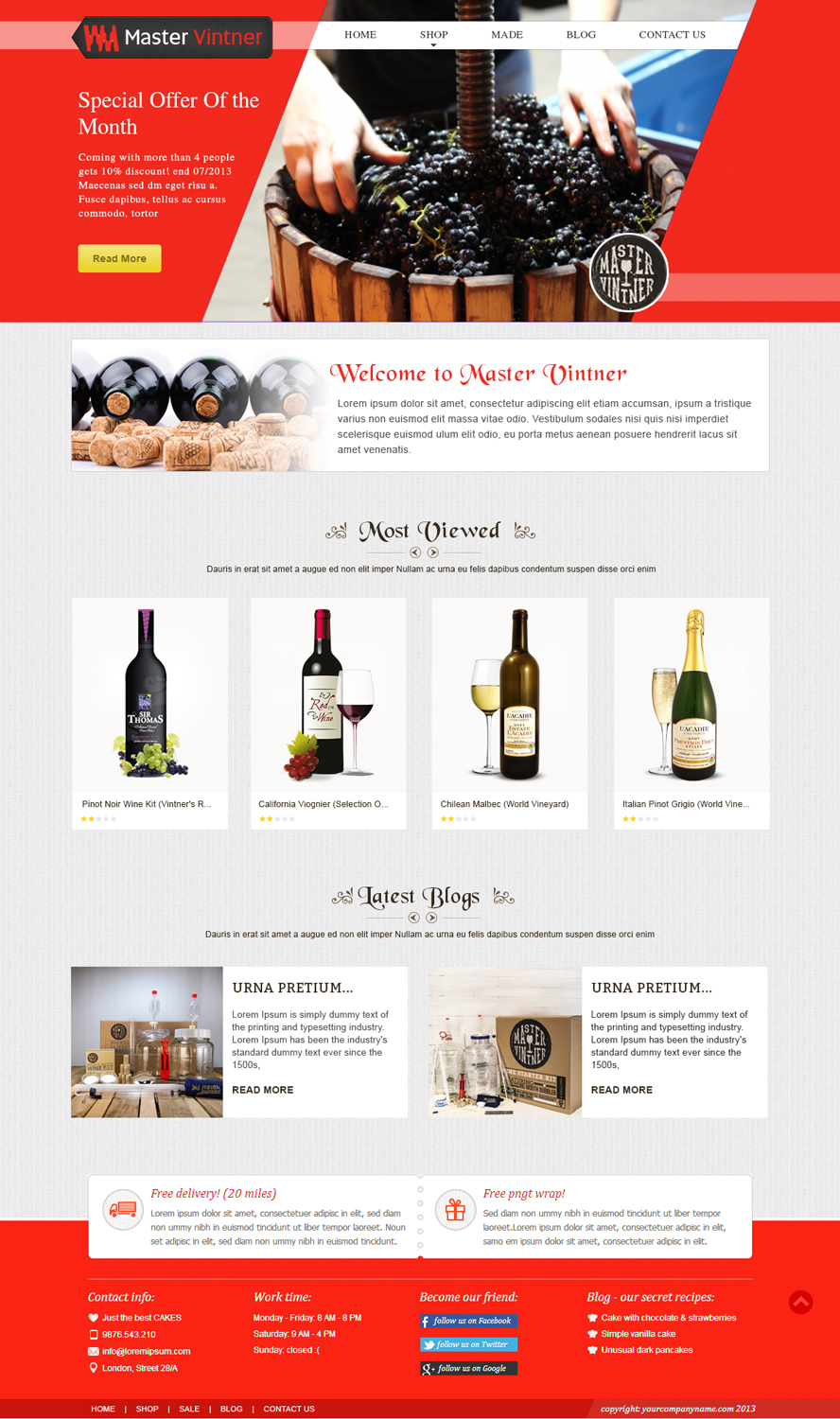 BigCommerce-Design von webxvision für Addison Feen Insight, Inc. | Design #6154354