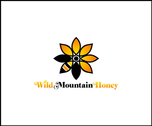 Logo Design by Dediu Andrei