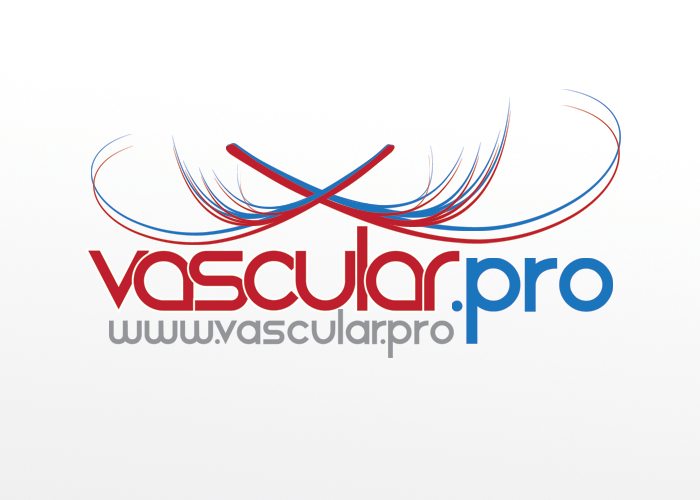Logo Design by Katala for this project | Design #292289
