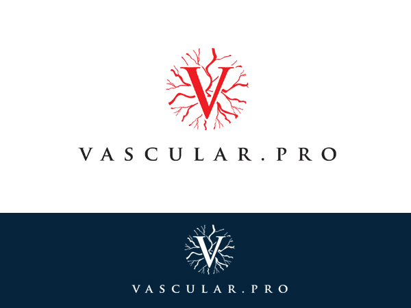 Logo Design by graphica for this project | Design #306778