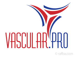 Logo Design by Rafba Graphic Design
