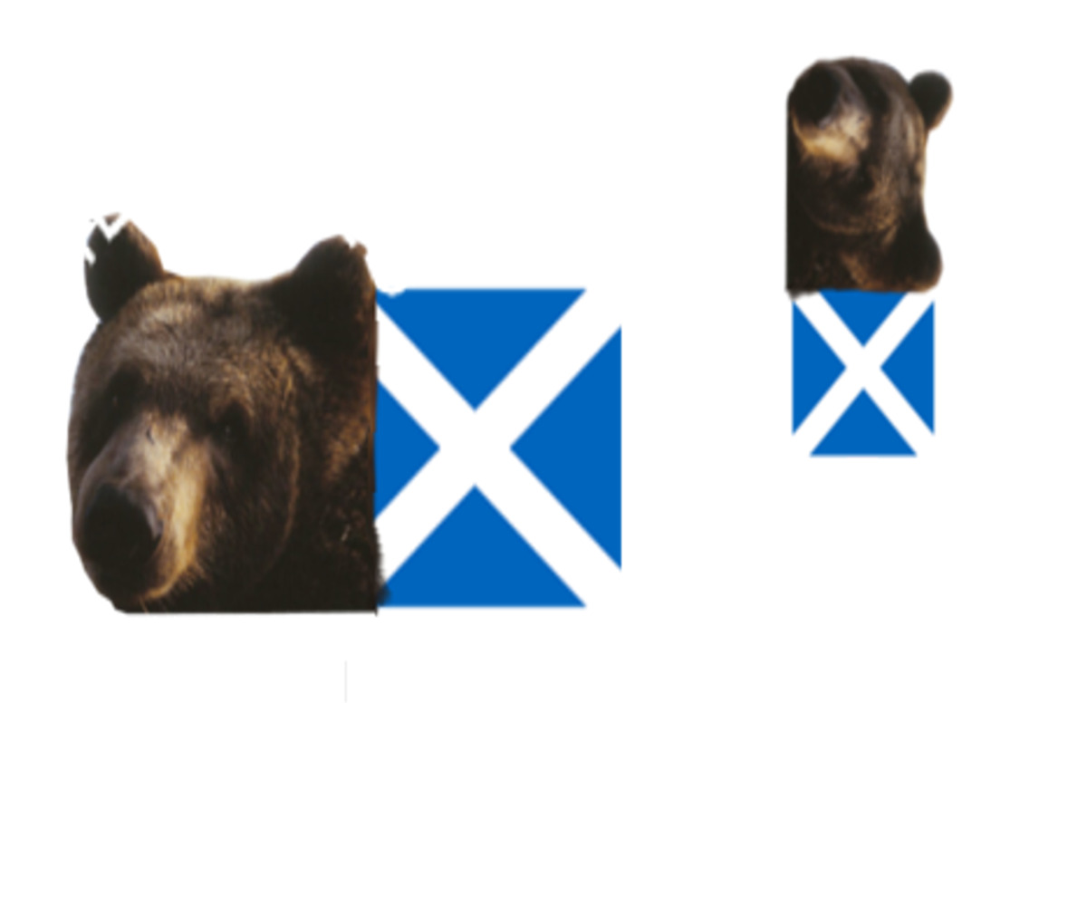 Logo-Design von Pheonixmaycry für Hercules Bear | Design #5598132