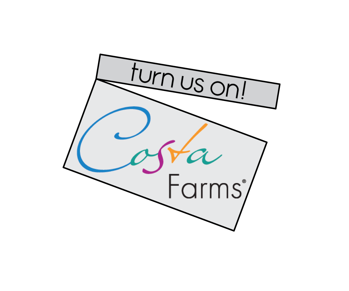 Diseño de Logo por Vukmir para este proyecto | Diseño #1536749