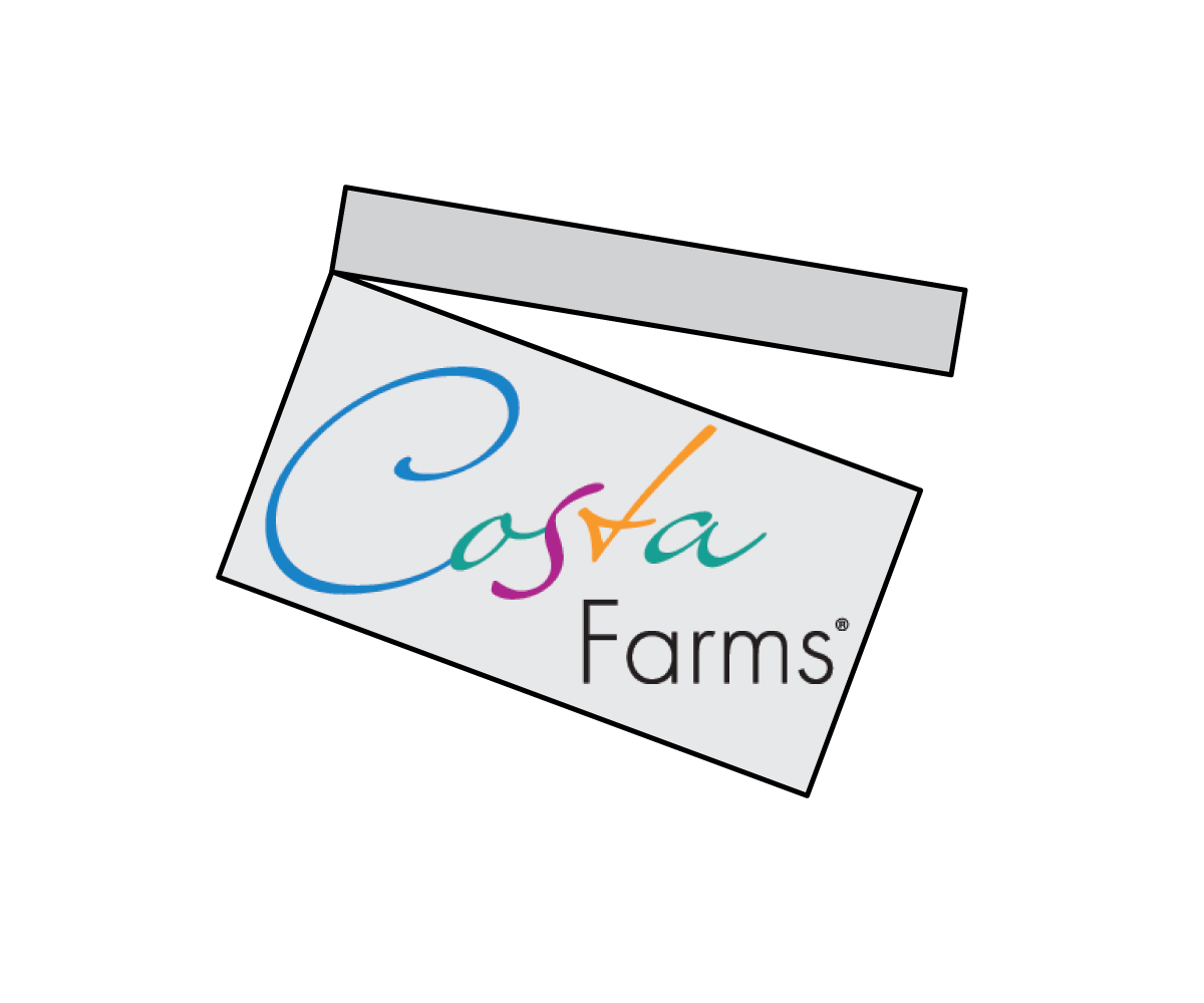 Diseño de Logo por Vukmir para este proyecto | Diseño #1536750