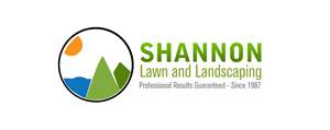 Logo Design by Designer Valley