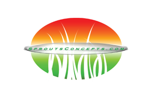 Logo Design by iDesign