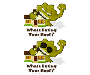 whats eating your roof? | Graphic Design by raph