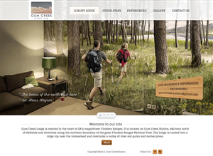 Web Design par UniqueDesignz pour ce projet | Design : #1550311