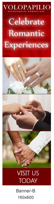 Diseño De Banner Publicitario por Sbss para Ilusiones Románticas S.A. DE C.V. R.F.C. IRO111017MW8 | Diseño #1567327