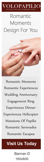 Diseño De Banner Publicitario por Sbss para Ilusiones Románticas S.A. DE C.V. R.F.C. IRO111017MW8 | Diseño #1567332