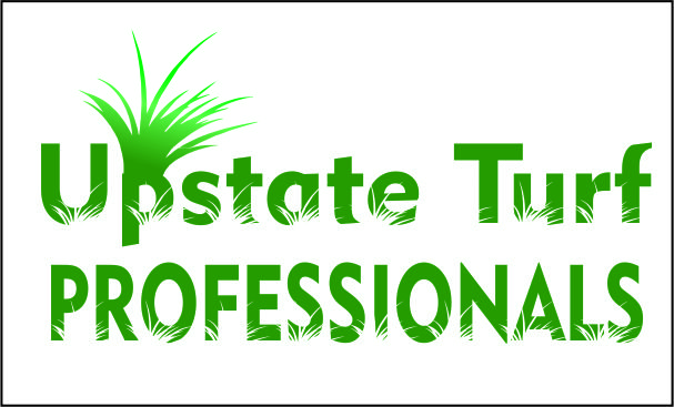 Logo Design by kincs for this project | Design #5620727