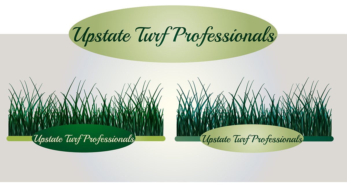 Logo Design by LogomaT for this project | Design #5650785