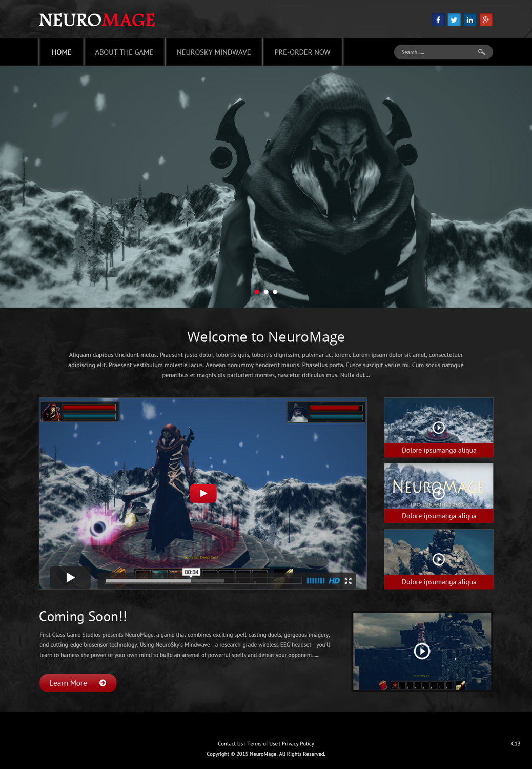 Web Design par pb pour First Class Ventures, LLC | Design #5609677