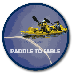 Logo Design by Phil Rutter