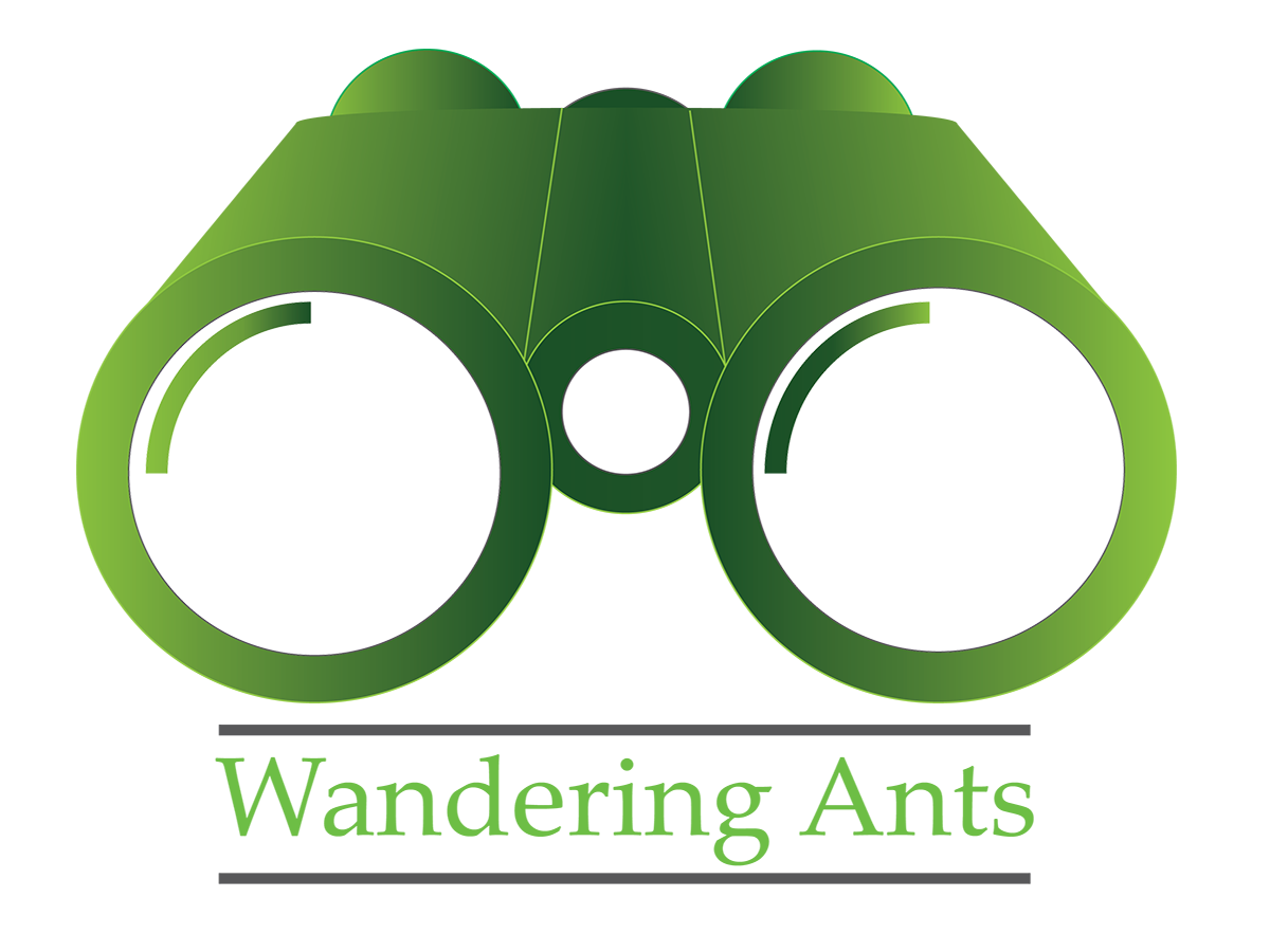 Logo Design by who006 for this project | Design #5606956