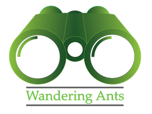 Logo Design by who006
