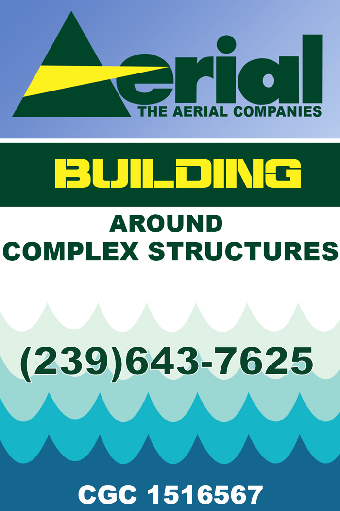 Poster Design by PaperAndPixel for this project | Design #5676595